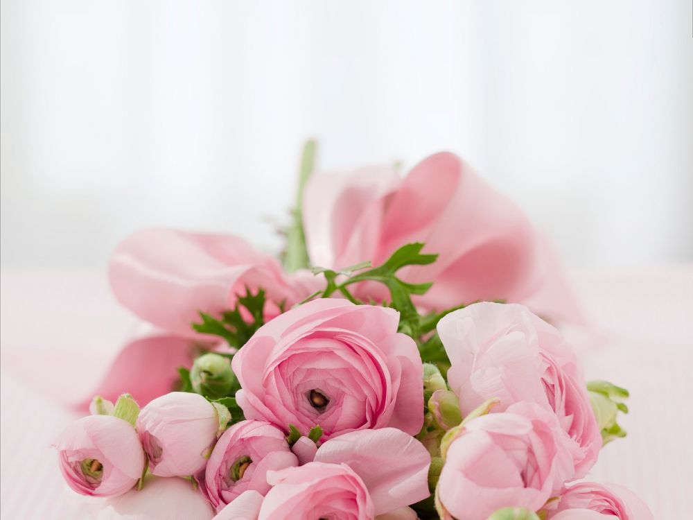 Find smukke buketter og afskårne blomster hos din lokale blomsterhandler i Stenløse